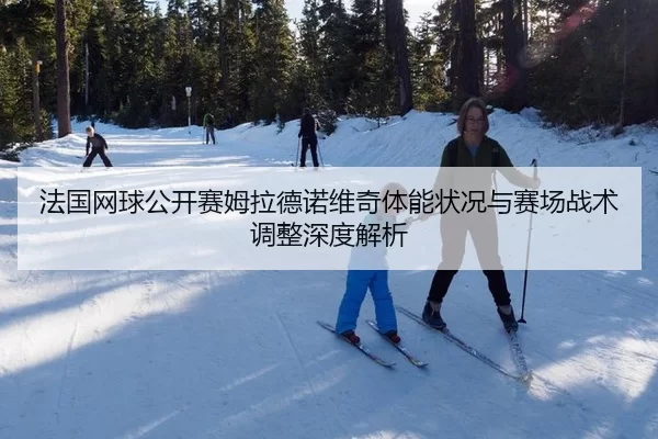 法国网球公开赛姆拉德诺维奇体能状况与赛场战术调整深度解析