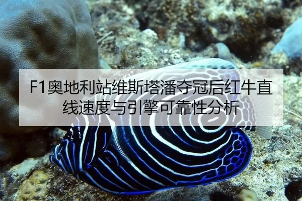 ao-di-li-zhan-wei-si-ta-pan-duo-guan-hou-hong-niu-zhi-xian-su-du-yu-yin-qing-ke-kao-xing-fen-xi-2-876.jpg